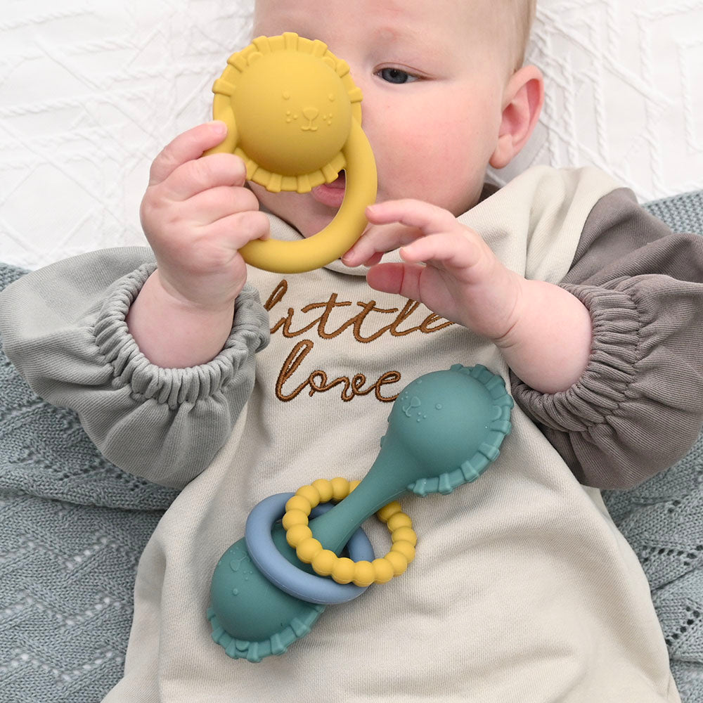 Silicone Lion Rattle Gift Set