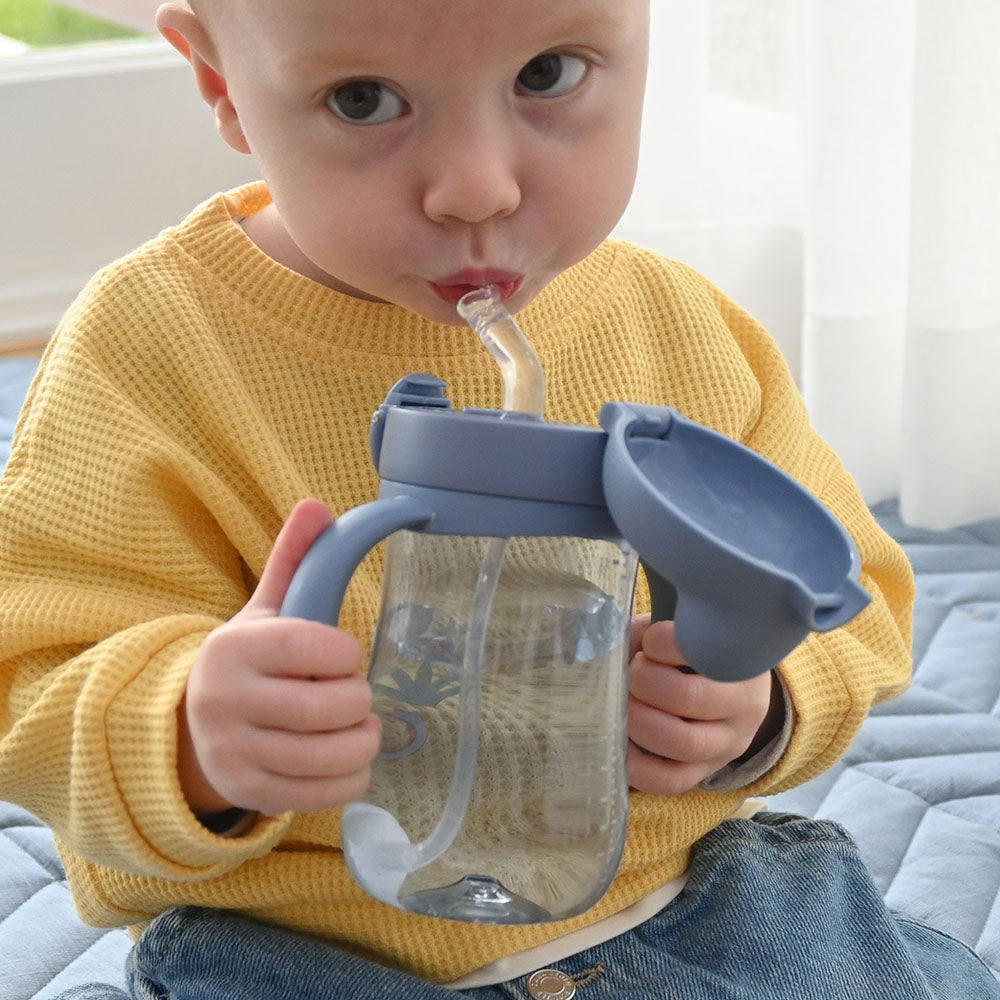 Flip Top Straw Sippy Cup - Blue Lion